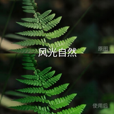 风光自然LUT O-LogRec.2020PQ1000iosI-LogX5系列AppleLog无X100V