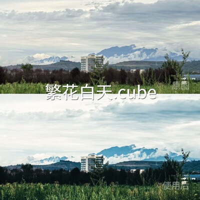 繁花白天.cubeLUT vivoLogF-Log2剪映GP-Log固件2.00liit松下BGH1