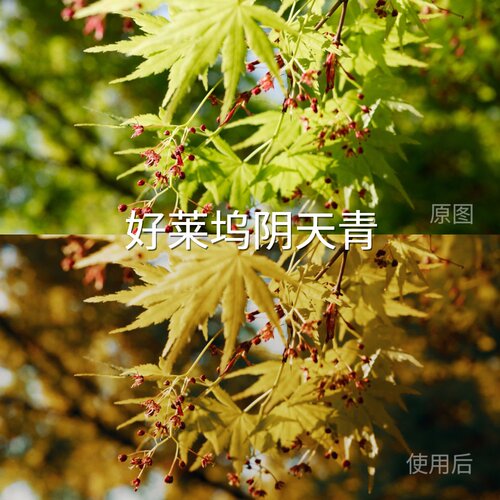 好莱坞阴天青LUT GalaxyLogI-LogAcePro2系列Log3G10O-Log2PA6Pro