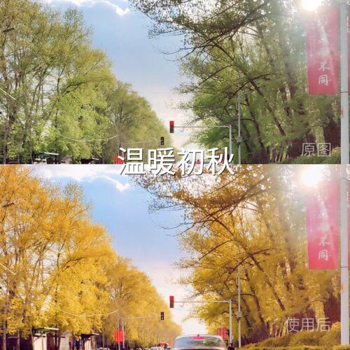 温暖初秋LUT 极影相机AppleLog2ipaidGalaxyLogCapCutD-Cinel一加
