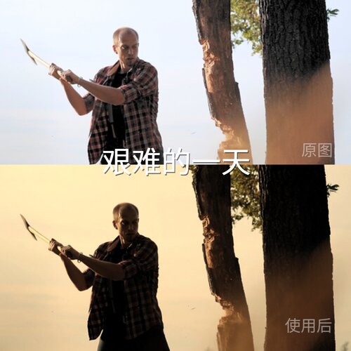 艰难的一天LUT AppleHDRHLG手机GP-Log固件1.20Log3G10C-LogDnova