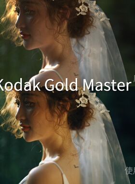 KodakGoldMastercLUT 安卓CapCut平板FinalCutProliitGP-Lo尼康Z5