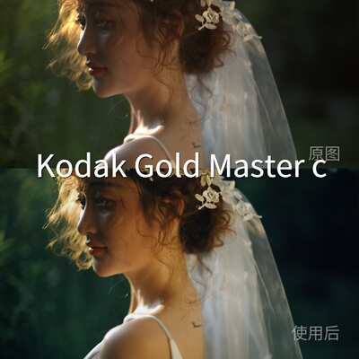 KodakGoldMastercLUT 安卓CapCut平板FinalCutProliitGP-Lo尼康Z5