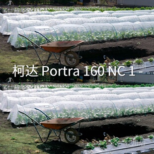 LogC4VN视频剪辑Log3G10GP Log固vivoXFlip LUT 柯达Portra160NC1