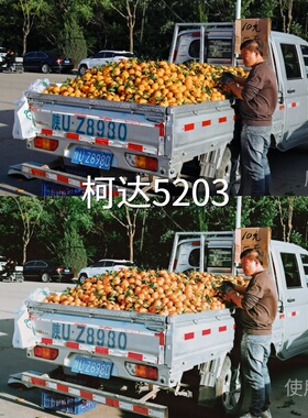 柯达5203LUT AppleLogO-Log2Avata360D-LogMMavic3D-LogMiPhone15