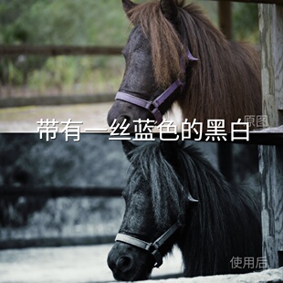 Log3G10HLGD Cinelike平板AppleLo佳能EOS 黑白LUT 带有一丝蓝色