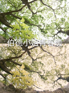 伯德小姐青春暖LUT Avata2D-LogMMi-LogvivoLog松Insta360AcePro