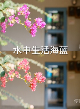 水中生活海蓝LUT O-LogRec.2020PQ1000Avata2D-LogMGP-Log固K13s