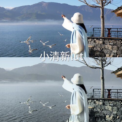 小清新lutLUT Air3D-LogMMavic3D-LogC-LogAE通用D-CinelikeZ一加