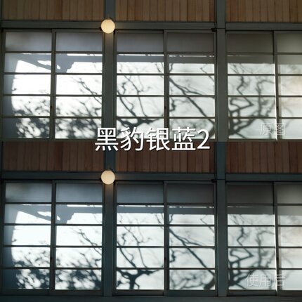 黑豹银蓝2LUT CapCut松下机内C-Log2PictureProfile（PP1-PPCanon