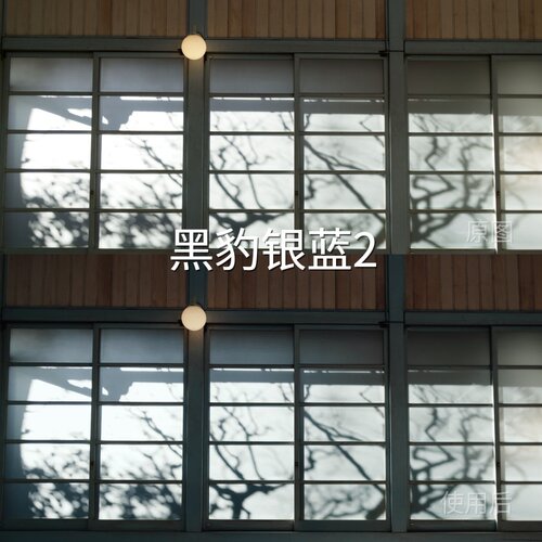 黑豹银蓝2LUT CapCut松下机内C-Log2PictureProfile（PP1-PPCanon