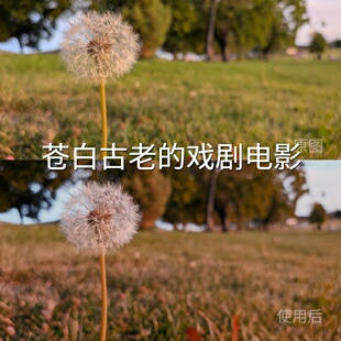 AfterEffectsiosMi LogVN视频剪辑GoPro12 戏剧电影LUT 苍白古老