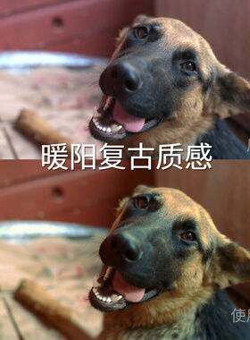 暖阳复古质感LUT D-LogF-LogGalaxyLogLog3G10AppleHDRH‌iQOONeo