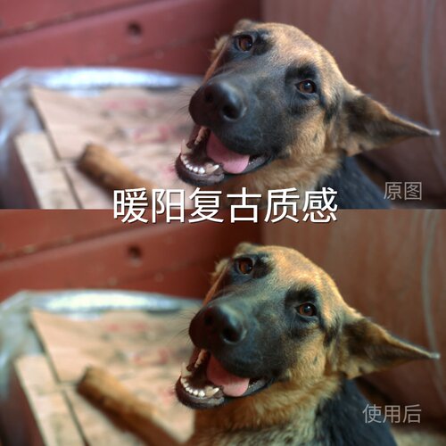 暖阳复古质感LUT D-LogF-LogGalaxyLogLog3G10AppleHDRH‌iQOONeo