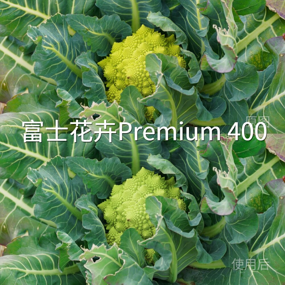 富士花卉Premium400LUT 电脑C-Log3S-Log2达芬奇PictureProxiaomi