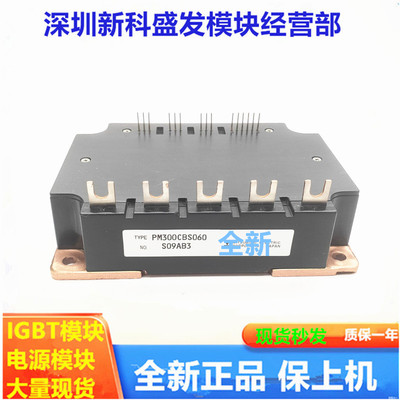 直拍 全新PM50/75/100/150/200/300CBS/CS1E060 PM100/150CLS120