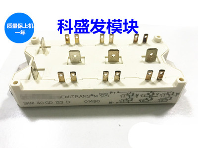 SKD40GA123D SKD75GA123D SKD100GA123D SKM100GAL124D7全新原装