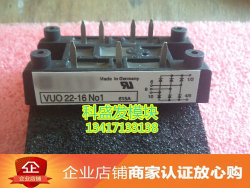 VUO22-16No1 VUO110-04N07 VUO110-06N07 VUO110-08N07 品质保证