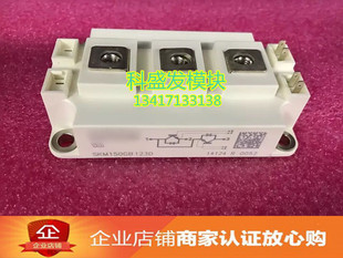 SKM150GB123D SKM150GB124D SKM150GB126D SKM150GB128D