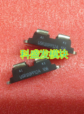 USR100PP16 USR120PP6A USR120PP2A USR100PP12A USR100PP12B