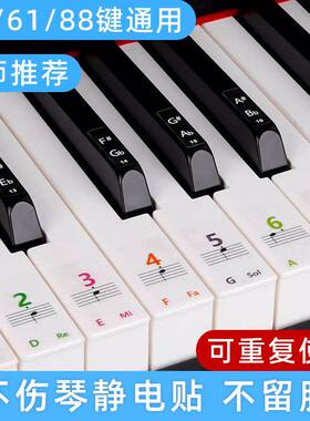 钢琴键盘贴纸彩色88键61键54键电子琴琴键贴数字五线谱音符贴配件