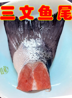 新鲜三文鱼尾精选大个鱼尾