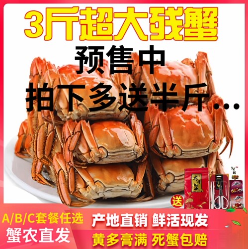 特大残蟹大闸蟹蟹黄多膏满嫩鲜活