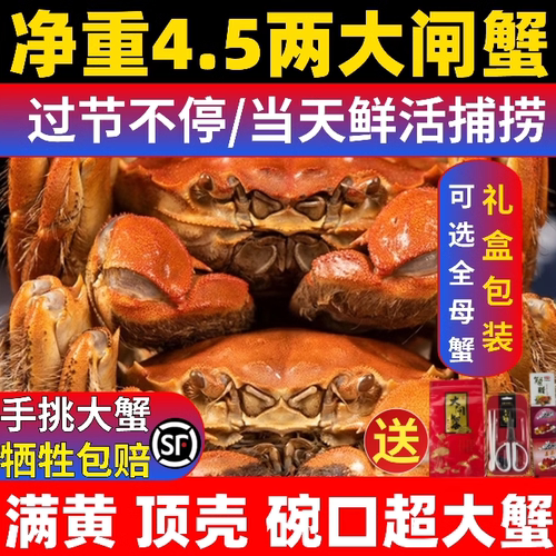 鲜活大闸蟹洪泽湖满黄满肉礼盒装