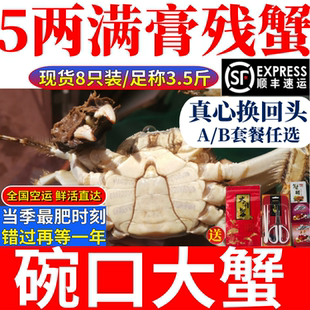活蟹捡漏满膏4.5两大蟹公母蟹8只大闸蟹残蟹洪泽湖超大号断脚蟹