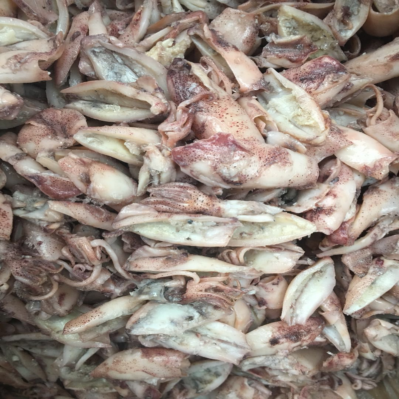 500g野生小海兔乌贼乌盐城特产