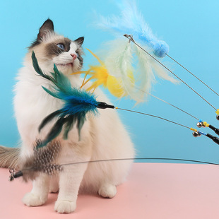 逗猫棒可伸缩猫咪解闷自嗨羽毛耐咬逗猫杆铃铛小幼猫玩具宠物用品