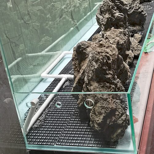 鱼缸造景垫板网格板底滤板底板顶盖板分隔离板防跳网原生溪流水陆