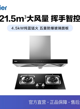 Haier/海尔 E900T23+QE5B0 烟灶套装21.5大吸力油烟机4.5燃气灶