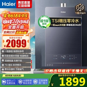 Haier/海尔 JSQ30-16QR5DPQGU1燃气热水器16升增压水伺服零冷水