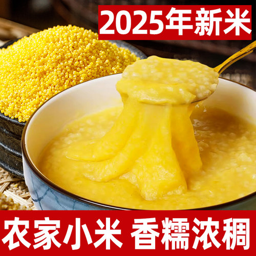 2025年小米农家新米小米黄小米脂黄小米杂粮pk山西小米粥小黄米