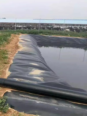 鱼塘防渗膜养殖膜土工膜土工布防水膜蓄水池藕池虾池黑色塑料薄膜