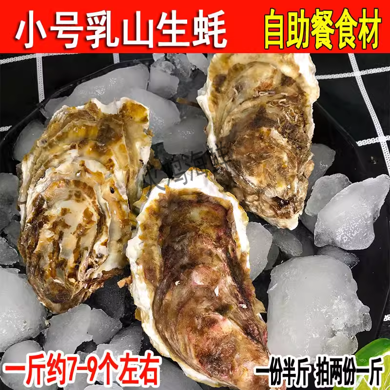 小生蚝野生鲜活新鲜海蛎子乳山烧烤即食1斤7-9个海鲜水产拍2份1斤