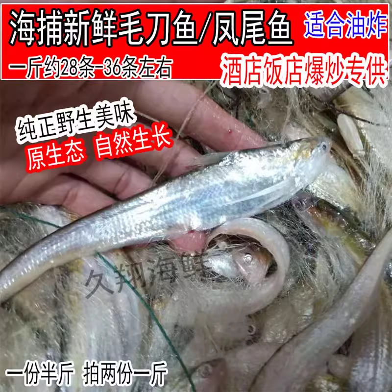 新鲜小号毛刀鱼鲜活凤尾鱼刨花鱼毛鱼拍2份1斤约28-36条海鲜水产