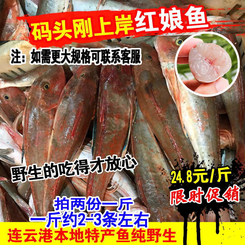 新鲜速冻红娘鱼海鲜水产