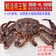 鲜活帝王蟹1只约4 6斤新鲜野生大螃蟹冰鲜海鲜水产非冷冻拍2份1斤