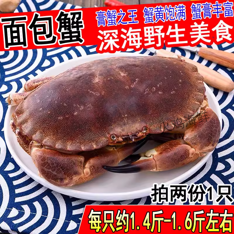 鲜活面包蟹野生新鲜黄金蟹拍2份1只海鲜水产1只约1.4-1.6斤非熟冻