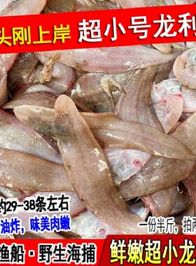 鲜活海鲜龙利鱼舌头鱼踏板鱼新鲜