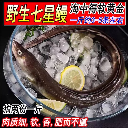 七星鳗鱼海鳝鱼鲜活新鲜1斤3-5条