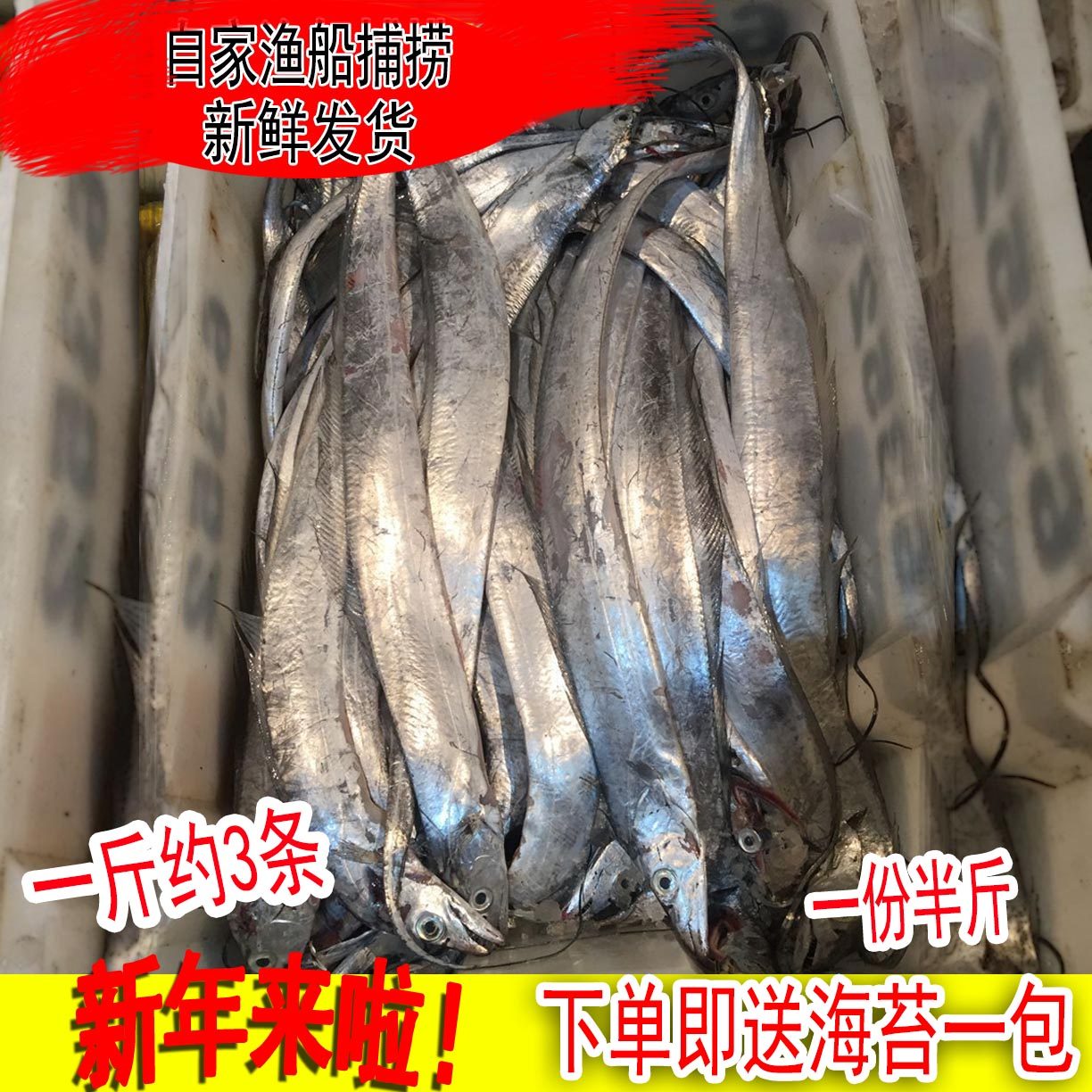 野生带鱼新鲜刀鱼新鲜深海鱼鲜活小眼带鱼1斤约3条连云港海鲜水产