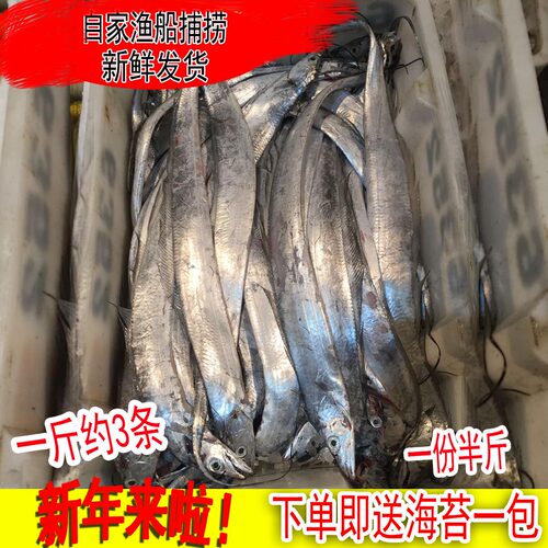野生带鱼新鲜刀鱼新鲜海鲜水产