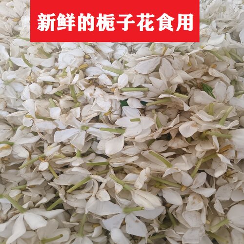 新鲜野生枝子花栀子花食用花