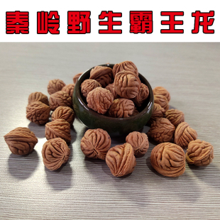 野生小龙纹桃核精品霸王龙文玩秦岭疙瘩散籽山桃胡刺龙纹男士手串