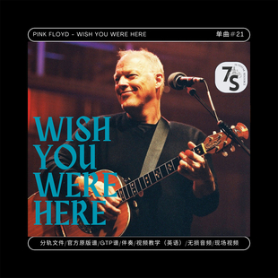 Floyd Wish 电木吉他 音视谱伴 Here Pink Were 单曲 You