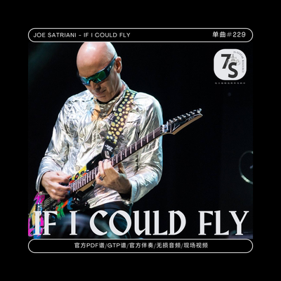 JoeSatriani吉他IfIcouldFly