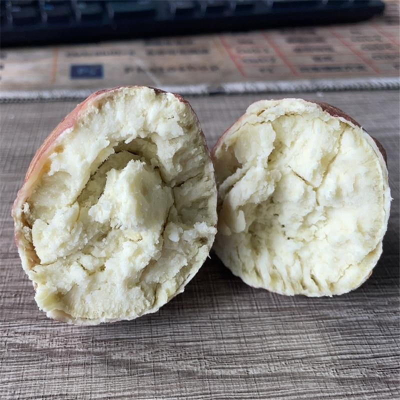 白心红薯重庆干面红薯